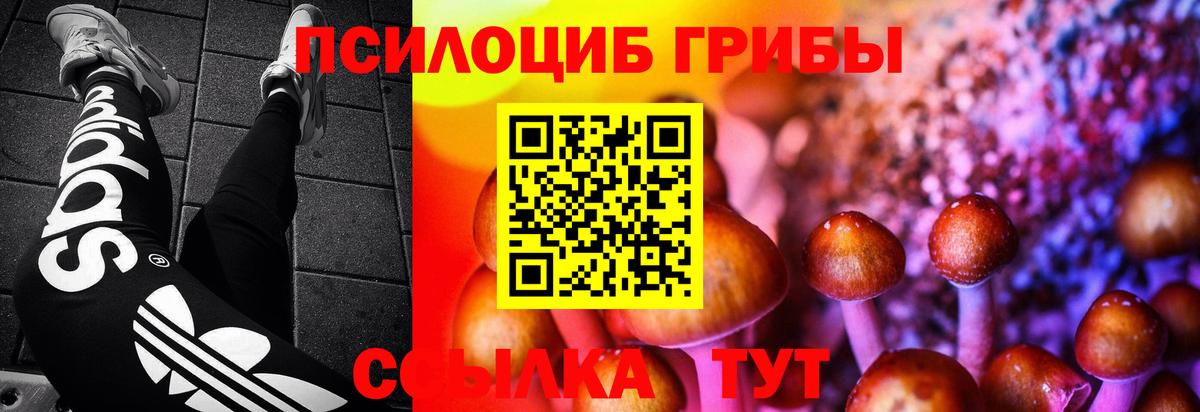 Псилоцибиновые грибы мицелий Старая Купавна