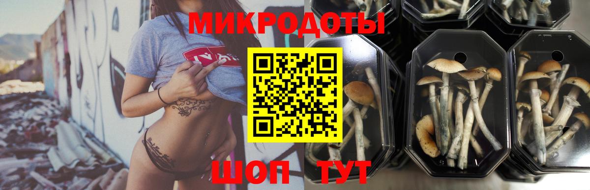 Старая Купавна  Галлюциногенные грибы Cubensis  Вход с VPN  Псилоцибиновые грибы мухоморы 
